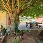 Pina Tatil Evi